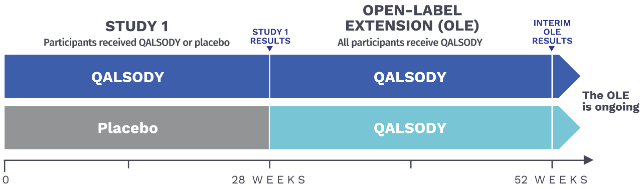 VALOR clinical study design